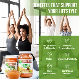 EverSmith Organics EverSmith Organics - Wildcrafted Irish Sea Moss Gel | Made in USA | Rich in Vitamins & Minerals | Sea Moss Gel Raw | Nutritional Supplement | Apple (16 oz)