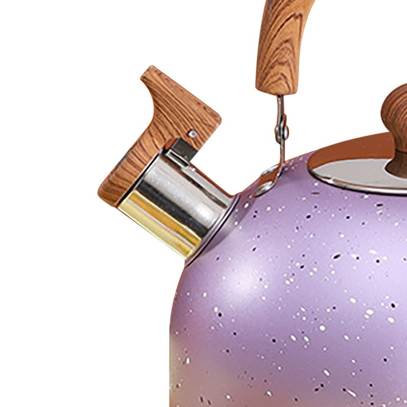 Water Kettle Stainless Steel Whistle Water Kettle Large Capacity Flat