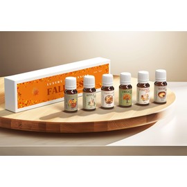 Aroma Depot Fall Fest Collection – Autumn Set of 6 Fragrance Oils (10ml Each) for Candle Making, Soap Making, and Home Diffusers
