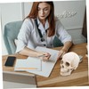 Kichvoe Realistic Detachable Human Skull Model Anatomically Accurate Medical Skull