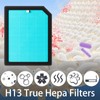 8 Pack AP1501 Replacement Filter for Aircillin AP1501 Air Purifier,