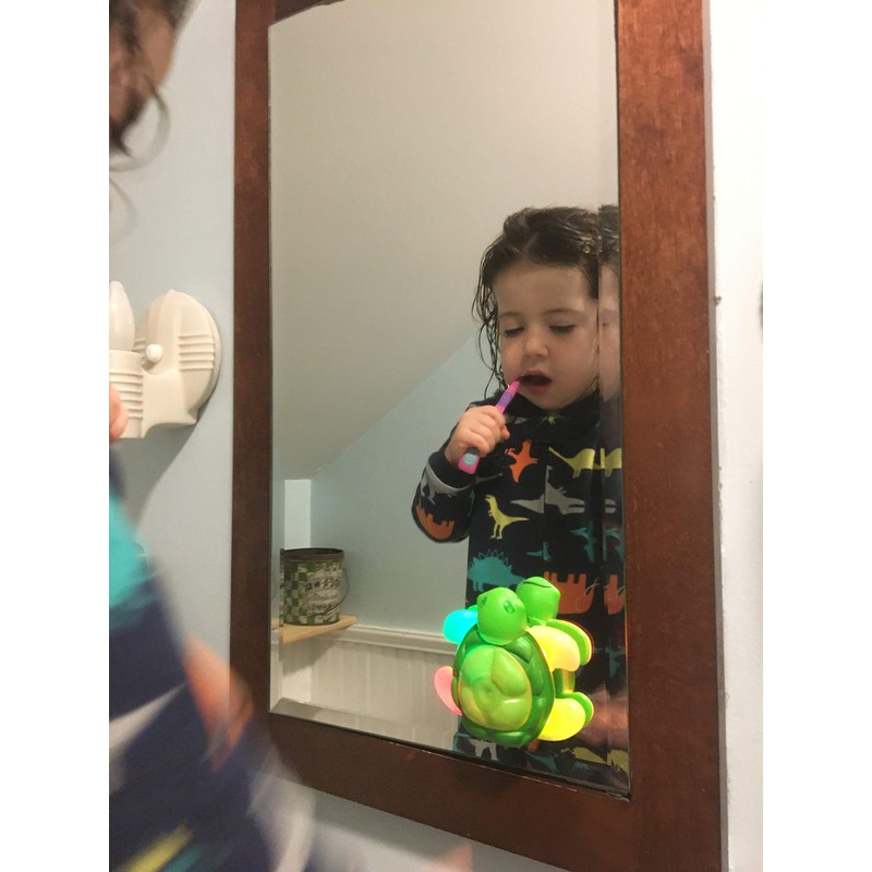 Kids Toothbrush Timer Light Up 30 Sec Turtle Flippers 2