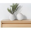 blomus Vase Rudea XS | Lily White | 12 x