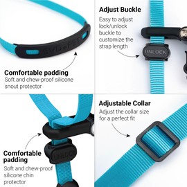 SVD.PET No-Pull Dog Headcollar for Easier Walks, Chew-Proof Protector to Increase Comfort, Simple Design, Easy to Wear and Adjust (Large Size for Medium and Large Size Dogs, Sky Blue)