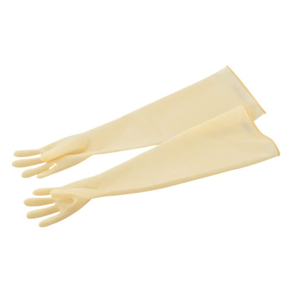 As One Glove Box Replacement Gloves, Large, 1-8388-01