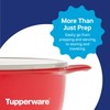 Tupperware Brand Thatsa Mega Prep & Storage Bowl, 10L (42