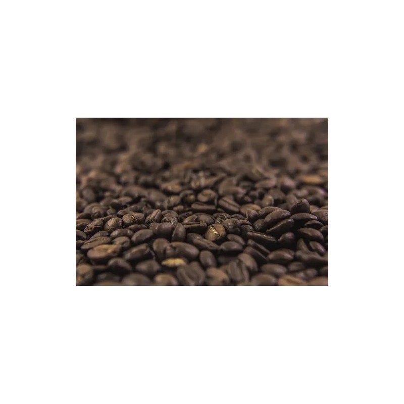 Café Veracruzano Artesanal 100% Arábica Calidad Exportacion