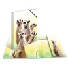 HERMA Collector's Folders A4 Meerkat Set, 3 Pieces, Children's Plastic