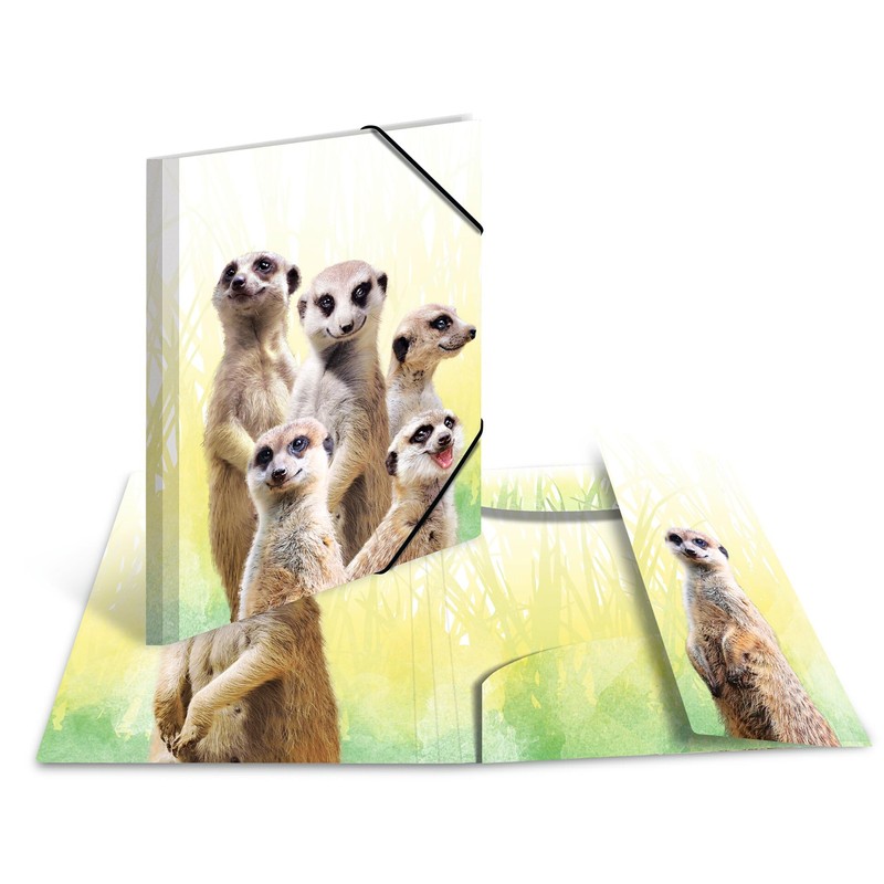 HERMA Collector's Folders A4 Meerkat Set, 3 Pieces, Children's Plastic