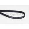 CONTITECH 5PK1230 V-Ribbed Belt
