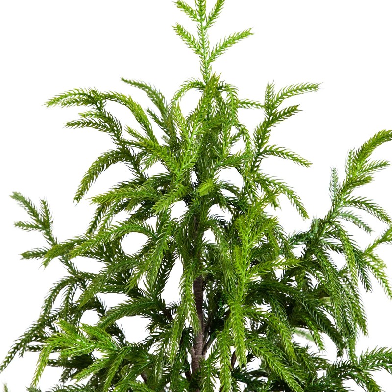 Nearly Natural 4ft. Artificial Norfolk Pine Tree