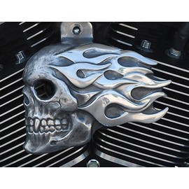 Flaming Skull Horn Cover in Aged Aluminum Finish