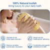 Ahatopia Materiales Lufa Natural Real Nuestras Esponjas Están Hechas Exclusivamente