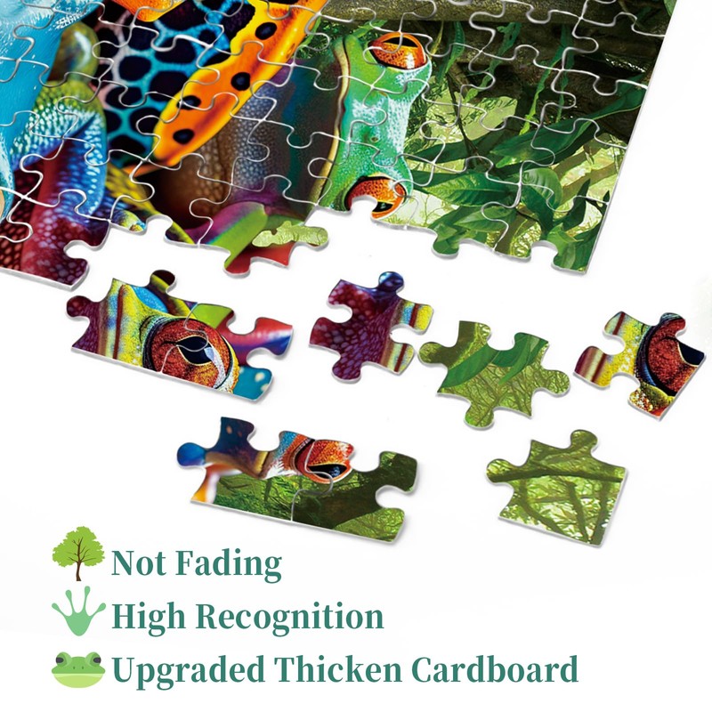 Colorful Frog Puzzle 1000 Piece for Adults, Rainbow Frogs Jigsaw