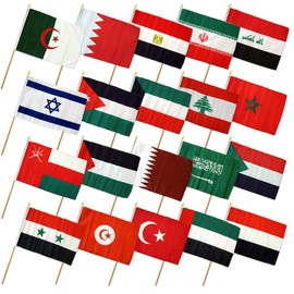 Set of 20 Middle East 12"x18" Stick Flags