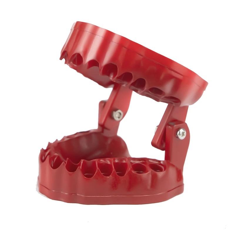 Denture Drill Bit Holder, Bit Organizer Denture Model Holds Up