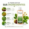 Varigel 60gr | Gel para pies y piernas Refrescante con