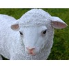 Geschenkestadl Garden Figure Sheep Weatherproof 23 cm High Animal Figure