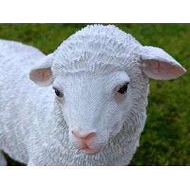 Geschenkestadl Garden Figure Sheep Weatherproof 23 cm High Animal Figure (Natural)