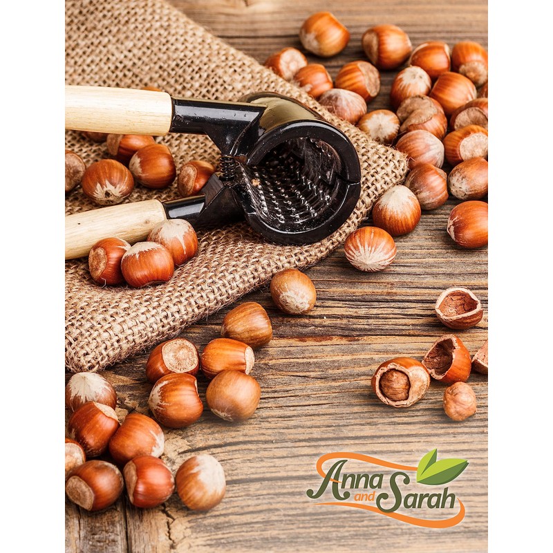 Anna and Sarah Large Oregon Hazelnuts in Shell, 5 Lbs