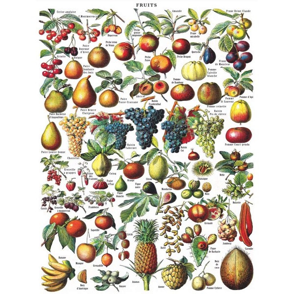 New York Puzzle Company - Vintage Images Fruits - 1000 Piece Jigsaw Puzzle