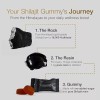 Shilajit Gomitas 2 Pack | Energía, Vitalidad y Memoria |