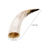 RUNROTOO 2Pcs Horn Wall Flower Vase: Natural Cow Horn Decorative