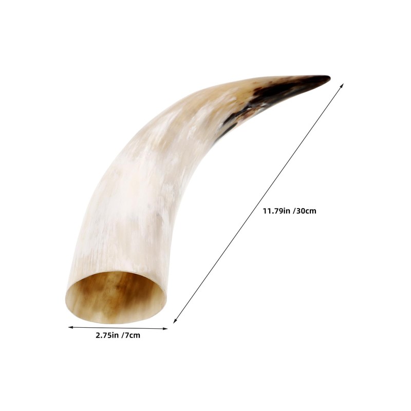 RUNROTOO 2Pcs Horn Wall Flower Vase: Natural Cow Horn Decorative
