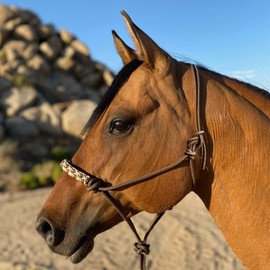Kensington Clinician Rope Halter - Horse Halter with Tri-Colored Braided Noseband and Snug Fit, Desert Sand