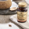 Solgar Pycnogenol 30 mg Vegetable Capsules - Pack of 30