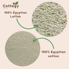 Estropajo de lufa natural Cottegy CT104 para ducha y exfoliación