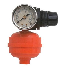 Motor Guard RF-1 1/4 NPT Spray Gun Regulator/Filter