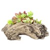 Aclema Succulent Planters Driftwood Planter Succulent Pots Small Plant Flower