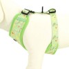 Dog Harness and Leash Set, Adjustable Dog Harness, Dog Leash,