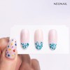 NEONAIL Nail Art Flowers Set - Dried Flowers - Nail