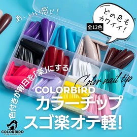 COLORBIRD Nail Tip, Long, 12 Colors, 240 Pieces, Black, Pink, Blue, Sea, Pool, Nail Tip, Simple, Stylish (Ballerina L Glossy)