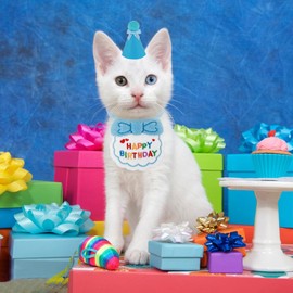 Amaxiu Birthday Hat Scarf Set for Small Dogs and Cats, Cute Pet Birthday Bandana Party Supplies Puppies Happy Birthday Decorations Embroidered for Girls Boys Kittens (Blue)