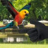 Tezuyok Bird Training Anti-Bite Gloves, Bite Proof Gloves, Small Animal