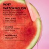 Watermelon Glow Niacinamide Dew Drops Jumbo Size - Brightening Serum