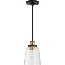 Capital Lighting 3718AB-135 Fallon Urban/Industrial Clear Glass Pendant Light Fixture, 1-Light 100 Watt, 9" H x 6" W, Aged Brass and Black