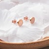 Philip Jones Rose Gold Plated Round Dot Stud Earrings
