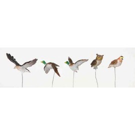 Lemax - Assorted Birds - Set Of 5