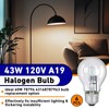 Kamrexi 6PCS 043168787963 78796 Halogen Light Bulbs, 43W 120V Light