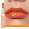 Oulac 2-in-1 Lipstick and Lip Balm, Juicy and Shiny Lip