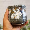 Waza no Kura Stylish Kutani Ware Teacup with Mountain Cherry