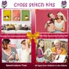 Dimxvean Cross Stitch Kits Stamped Full Range of Embroidery Starter