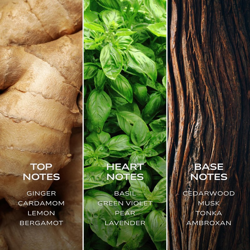 Intelligent Hydrogen Eau de Parfum | Cologne for Men |