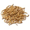 Dehydrated Mealworms for Chickens, Wild Birds, and Reptiles 21 oz