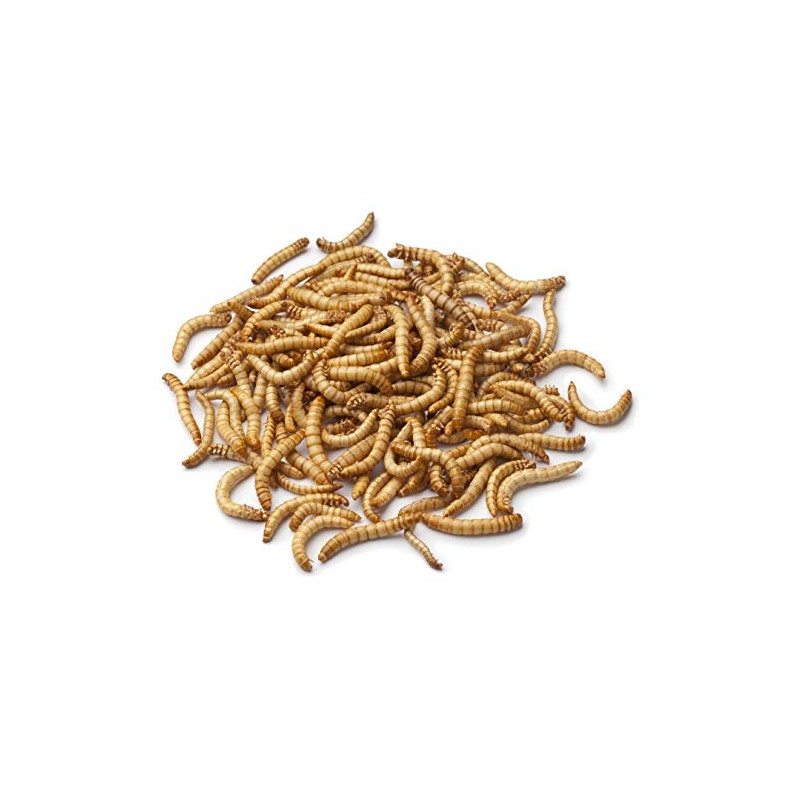 Dehydrated Mealworms for Chickens, Wild Birds, and Reptiles 21 oz
