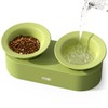 MS!MAKE SURE Dog Cat Bowls, Elevated Ceramic Cat Food and